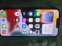Apple苹果iPhone17/16/15/14/13/12pro/max系列 二手手机内存以质检报告为准 苹果 iPhone 13 Pro Max 实拍图
