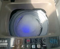 志高（CHIGO）全自动洗衣机 家用小型波轮 洗脱一体机大容量 公寓宿舍出租房 7.5KG加厚款【蓝光洗护+风干洁桶+强电机】 实拍图