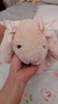 皇恩小兔子毛绒玩具安抚哄睡玩偶陪睡布娃娃公仔抱枕女孩儿童生日礼物 实拍图