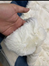 水星家纺毛毯冬季加厚仿兔绒午休毯子空调毯双面毛绒毯 米色 100*140cm 实拍图