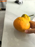生活＆好管家 四川春见耙耙柑爆浆大果新鲜水果礼盒应季橘子现摘柑橘子桔子 8.5-9斤【性价比高-全家爽吃】净重8斤 果径80-90mm【大果】 实拍图
