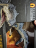 Jurassic World生日礼物侏罗纪世界哈蒙德大型收藏系列异特龙恐龙仿真模型JCG13 实拍图