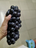 云南夏黑葡萄无籽黑提子黑加仑巨峰孕妇当应季新鲜水果现摘当季 云南建水夏黑葡萄4斤 实拍图