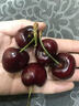 壹萌果蔬金奖·智利车厘子【JD/顺丰次日达】大樱桃新鲜进口水果礼盒装送礼 2斤(净重) 【较划算】精美礼盒 【黑钻级】巨无霸3J 单果30-32mm 丨超大超甜 实拍图