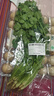带根香菜100g 实拍图