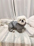 POPOCOLA小狗狗衣服羽绒秋冬季泰迪比熊雪纳瑞小型犬宠物保暖棉服冬装 灰色四脚面包服 L【建议9-11斤】 实拍图