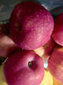 京鲜生 陕西洛川红富士苹果净重5斤 单果80-85mm 源头直发 实拍图