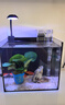 金晶超白玻璃桌面鱼缸小型家用办公室生态懒人全套造景小缸水草缸 鱼缸全套十件超值大礼包 22*15*20 实拍图