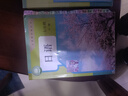 日语红蓝宝书系列 超值白金版 红宝书蓝宝书大全集 新日本语能力考试N1-N5文法语法 文字词汇详解(最新修订版)（套装共2册）红宝书赠音频 实拍图