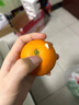 京鲜生 四川爱媛果冻橙 净重4.5-5斤 单果140g+ 生鲜水果 源头直发包邮 实拍图