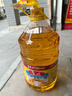 鲁花 食用油 物理压榨 葵花仁油6.18L  实拍图