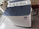 小天鹅（LittleSwan）双桶双缸洗衣机半自动 12公斤大容量 强力去污 洗大件 节能 TP12S156 家电国家补贴20% 一级能效 实拍图
