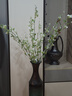 京东鲜花繁花雪柳枝3大支仿真花假花绿植装饰客厅餐桌玄关插花艺花束拍照 实拍图