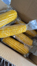 京鲜生 东北黄玉米净重3.6斤 8根*220g+ 真空包装加热即食 源头直发 实拍图