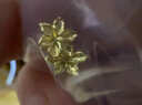 六福珠宝足金栀子花黄金耳钉耳饰送礼 计价 G01G0027DS 0.95克(含工费100元) 配硅胶耳堵 实拍图