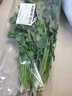 带根香菜100g 实拍图