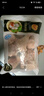 CP正大食品白羽鸡翅根2斤 生鲜冷冻 鸡肉烤鸡翅鸡肉 腌制鸡肉 实拍图