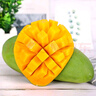 【双十一热卖】玉芒水果芒果新鲜上市 带箱5斤 中大果【单果200-300g】 实拍图