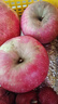 佳农 烟台红富士苹果 净重10斤  单果重190g以上 生鲜水果礼盒 实拍图