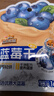 三只松鼠每日蓝莓干256g/16包 无添加水果干果脯小包装儿童老人办公室零食 实拍图