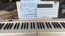 特伦斯折叠钢琴88键便携式电钢琴成人儿童电子琴重力度键盘V30pro钢琴 樱花粉+专用琴包 实拍图