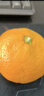京觅浙江台州涌泉蜜桔 净重2.5斤 单果50mm+ 橘子水果礼盒 源头直发 实拍图