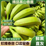 高山香蕉广西产地直发薄皮青果软糯香甜自然熟当季新鲜采摘纯天然 高山香蕉带箱2斤 实拍图