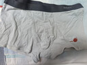 猫人青少年纯棉内裤男10A抗菌发育期初高中生儿童四角裤头平角短裤衩 实拍图