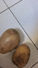 土豆500g 实拍图