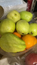 京鲜生树熟软糯奶油芭乐 净重4.5斤装单果150g+ 番石榴 源头直发包邮 实拍图