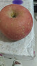 京地达烟台栖霞红富士苹果净重4.5斤单果约193g烟台苹果水果源头直发 实拍图