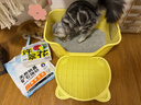 囧宝钠基矿物猫砂原矿破碎除味除臭结团快大颗粒无粉尘吸水快猫咪用品 【升级破碎砂】原味奶香20斤 实拍图