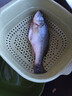 鲜活冲浪河鲈鱼400-500g/条 实拍图