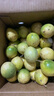 鲜青录广西黄金百香果钦蜜9号新鲜水果黄色白香果西番莲鸡蛋果 划算5斤中果（单果60-70g） 实拍图