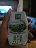 伊利金典纯牛奶整箱 250ml*16盒 3.6g乳蛋白 礼盒装 实拍图