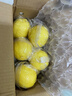 京鲜生 安岳黄柠檬 8粒 单果95-120g 生鲜水果 实拍图