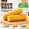金沃瑞丰【25年头茬】有机黄糯玉米棒 220g*8袋 新鲜甜粘黏早餐 实拍图