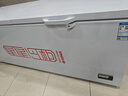 星星888升单温冰柜商用冷藏冷冻两用卧式冰箱商用大容量保鲜速冻雪柜-40℃冷冻柜BD/BC-888GD 实拍图
