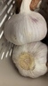 【营田半亩】蒜干蒜头蒜大蒜紫白皮大蒜当季蔬菜0.5-5斤 2斤带箱重【果径4.5-5cm】大果 实拍图