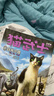 猫武士（全42册）首部曲至七部曲 儿童文学动物小说自主阅读生存勇气成长励志 奇幻冒险小说 中小学生青少年提升写作作文能力 课外书王芳推荐 实拍图