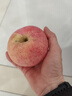 京鲜生山东烟台红富士苹果 净重5斤 单果85-90mm 生鲜水果 源头直发 实拍图