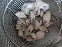 冰鲜海蛎肉 200g/罐 实拍图