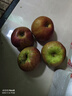 京鲜生 云南昭通丑苹果 4粒尝鲜装  单果130g起 新鲜水果  实拍图