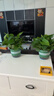 双盟绿萝盆栽除甲醛花卉绿植办公室新房净化空气180加仑4盆装源头直发 实拍图