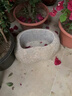 石头花盆原生态天然鹅卵石花瓶多肉铜钱草原石菖蒲盆鱼缸水培造景 无排水孔 外径16-18厘米 款式随机 实拍图
