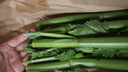 京鲜生山东新鲜大西芹净重4.5斤榨汁现挖芹菜鲜嫩蔬菜 去半叶源头直发 实拍图