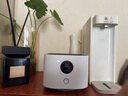 UORRIS德国欧瑞氏空气净化器除甲醛除烟味新房家用桌面办公室小型负离子除异味过敏原鼻炎哮喘花粉神器 清新白 【含耗材丨除醛率99%】 实时检测丨主动捕捉丨效果可视化 实拍图