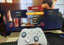 飞智冰原狼4多模版无线游戏手柄 类xbox 力调节摇杆双切扳机 switch电脑PC手机steam体感NS 丝之歌 实拍图