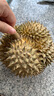 京鲜生 进口金枕头榴莲 巴掌榴莲 2-3斤 1个装  鲜果 生鲜 新鲜水果 实拍图