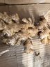 农多鲜 云南小黄姜 新鲜蔬菜现挖现发调味料火锅食材 产地直供 小黄姜净重1斤 云南小黄姜 实拍图